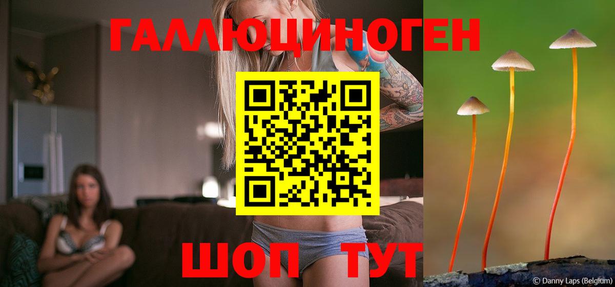 Псилоцибиновые грибы мицелий Северск